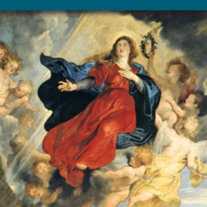 Marian Doctrines