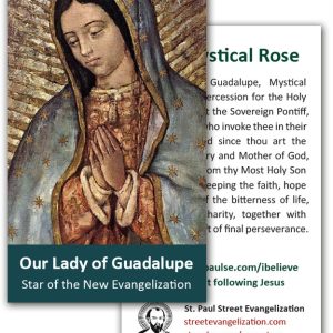 Holy Cards - Mystical Rose (100 Pack)
