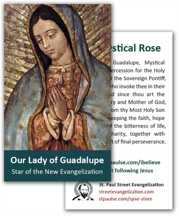 Holy Cards - Mystical Rose (100 Pack)