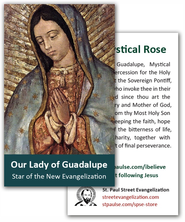 Holy Cards - Mystical Rose (100 Pack)