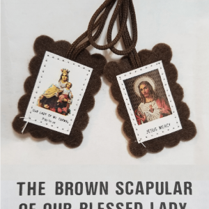 Brown Scapular - 24 Pack