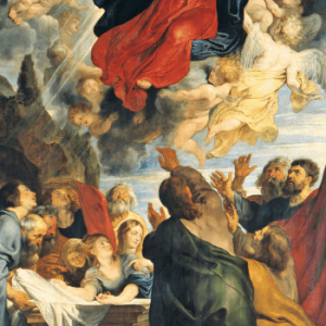 Marian Doctrines Pamphlet