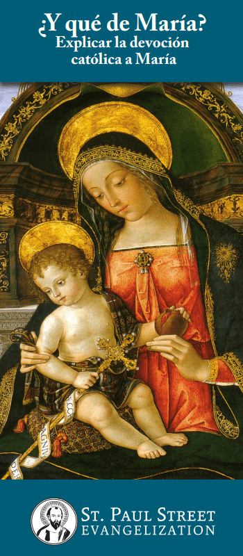What About Mary? Pamphlet - Spanish