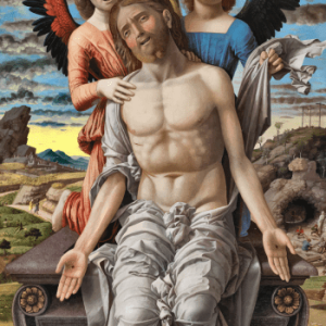 Problem of Suffering Pamphlet