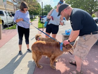 Preaching and Pooches, Pt. 1